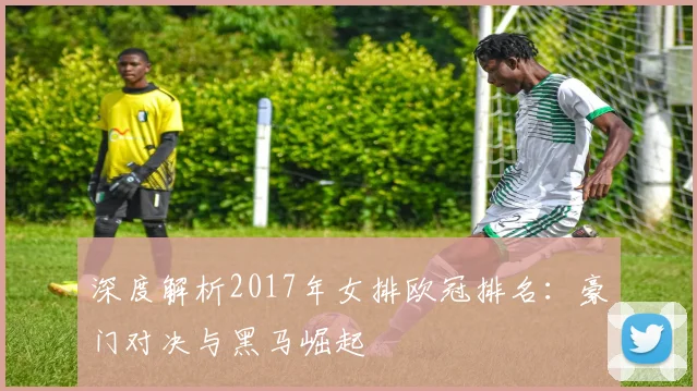 深度解析2017年女排欧冠排名：豪门对决与黑马崛起