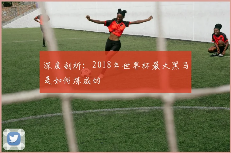 深度剖析：2018年世界杯最大黑马是如何炼成的