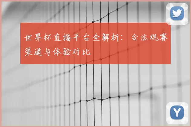 世界杯直播平台全解析：合法观赛渠道与体验对比